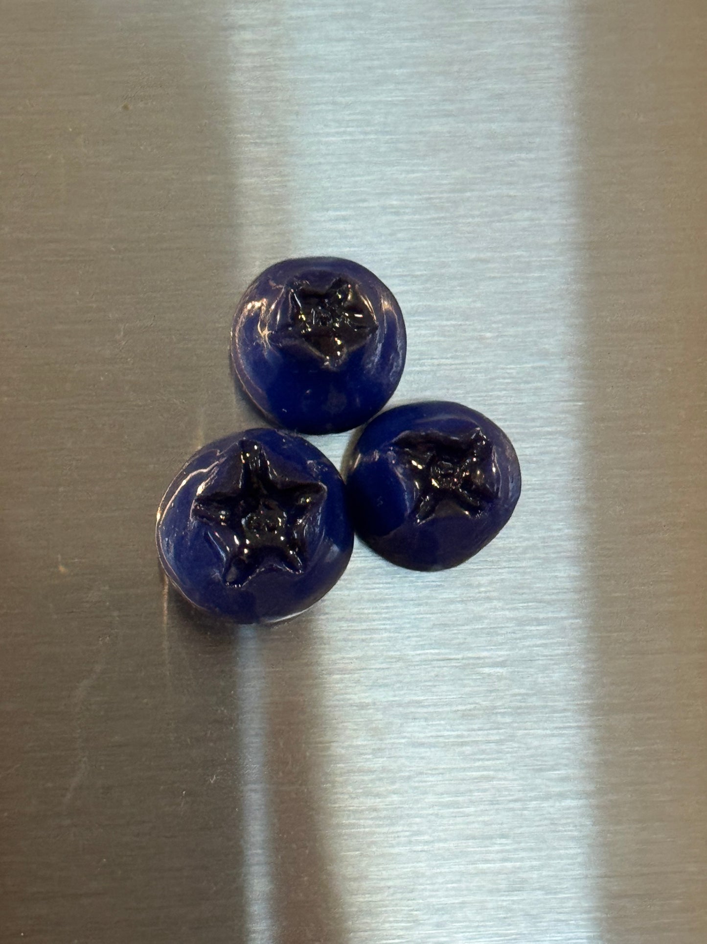 Blueberry magnets