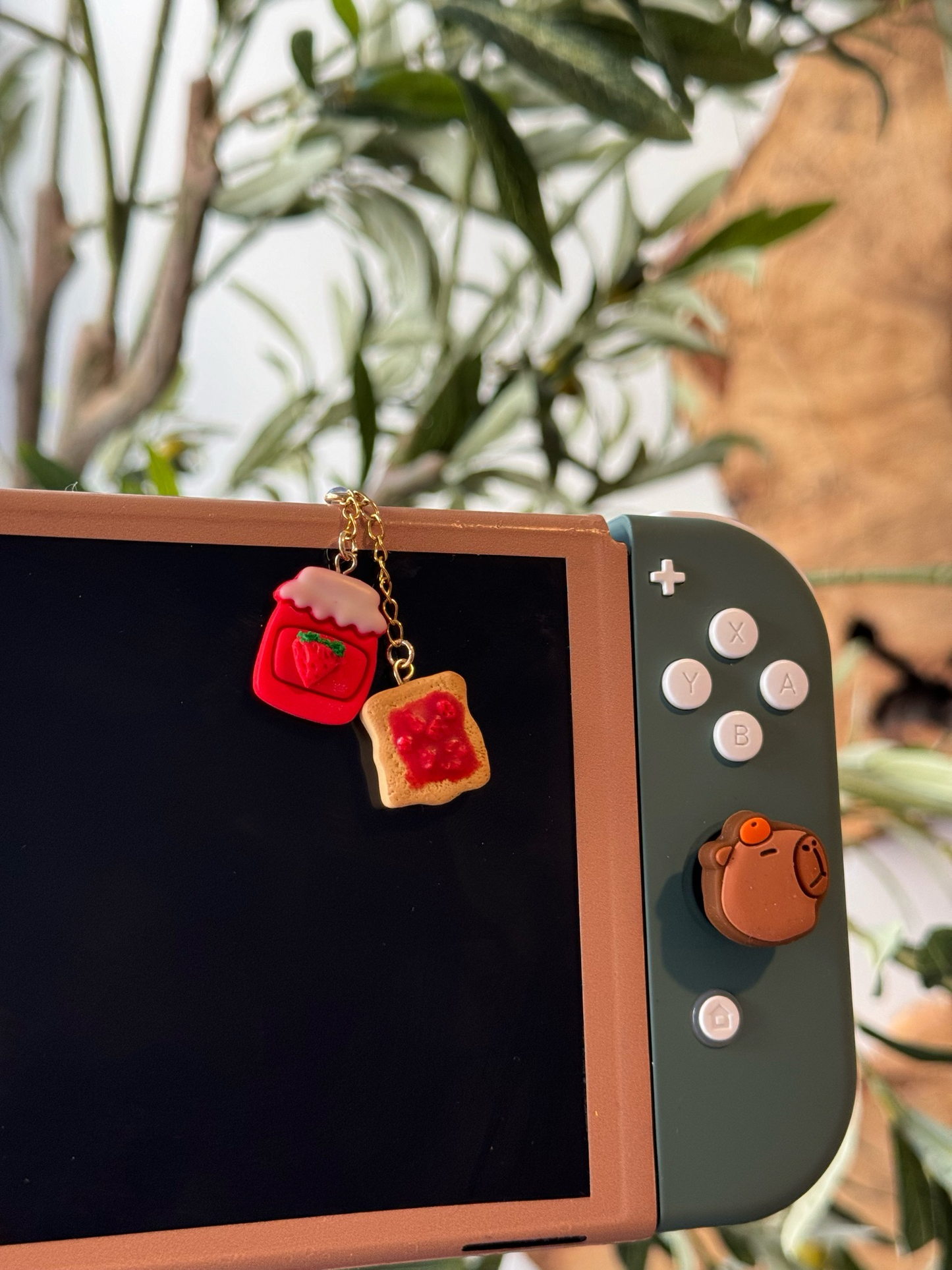 Strawberry Jam Switch Charm
