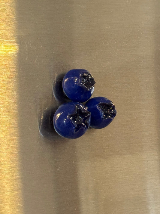 Blueberry magnets