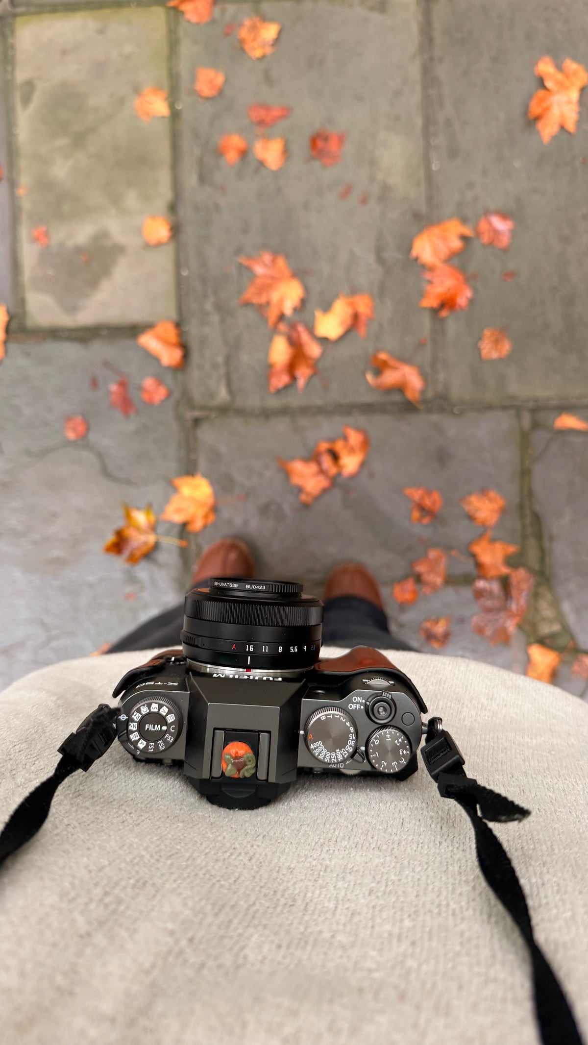Pumpkin Hot Shoe